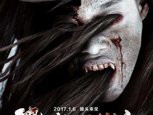 代办捷克驾驶证